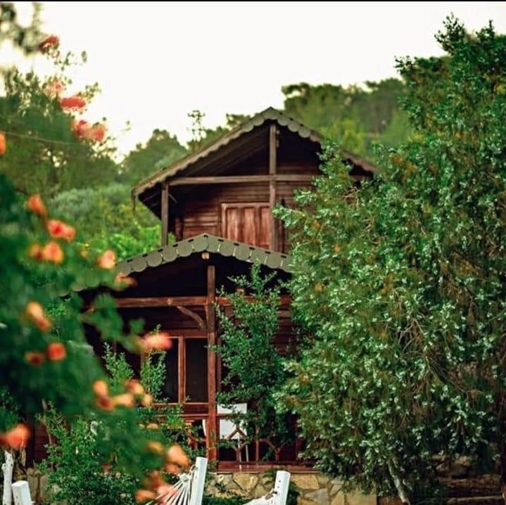 Olympos Talara By Arzum Hotel Kumluca Exterior foto