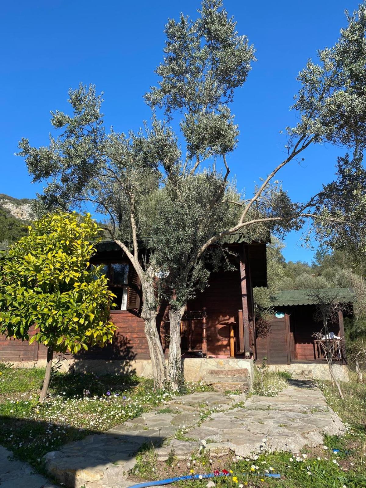 Olympos Talara By Arzum Hotel Kumluca Exterior foto